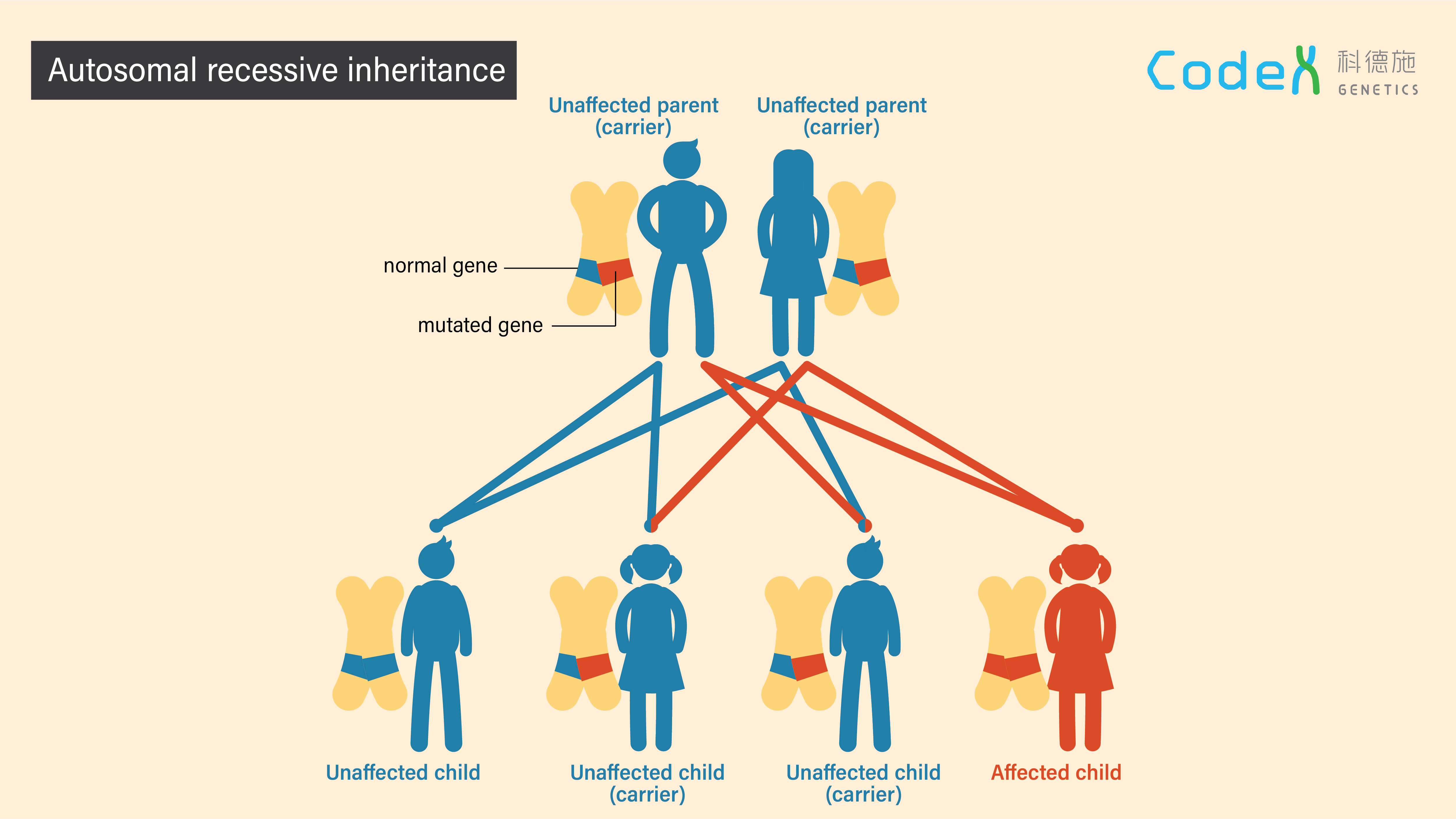 case study on genetic inheritance